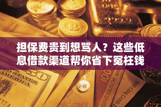 北京担保费贵到想骂人？这些低息借款渠道帮你省下冤枉钱