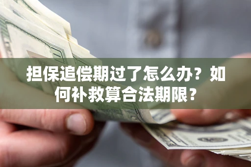北京担保追偿期过了怎么办？如何补救算合法期限？