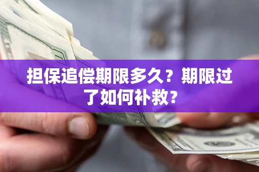 北京担保追偿期限多久？期限过了如何补救？