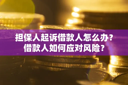北京担保人起诉借款人怎么办？借款人如何应对风险？