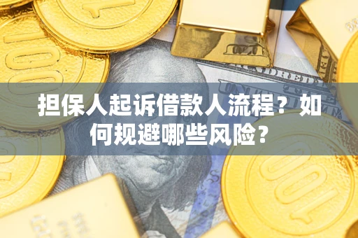北京担保人起诉借款人流程？如何规避哪些风险？