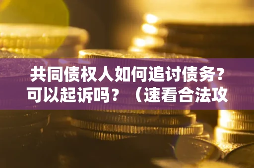 北京共同债权人如何追讨债务？可以起诉吗？（速看合法攻略）