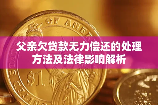 北京父亲欠贷款无力偿还的处理方法及法律影响解析